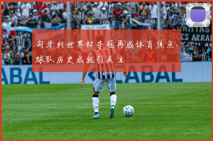匈牙利世界杯夺冠再成体育焦点,球队历史成就引关注